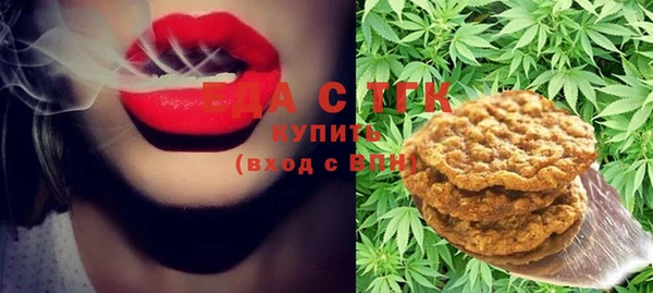 шишки Осташков